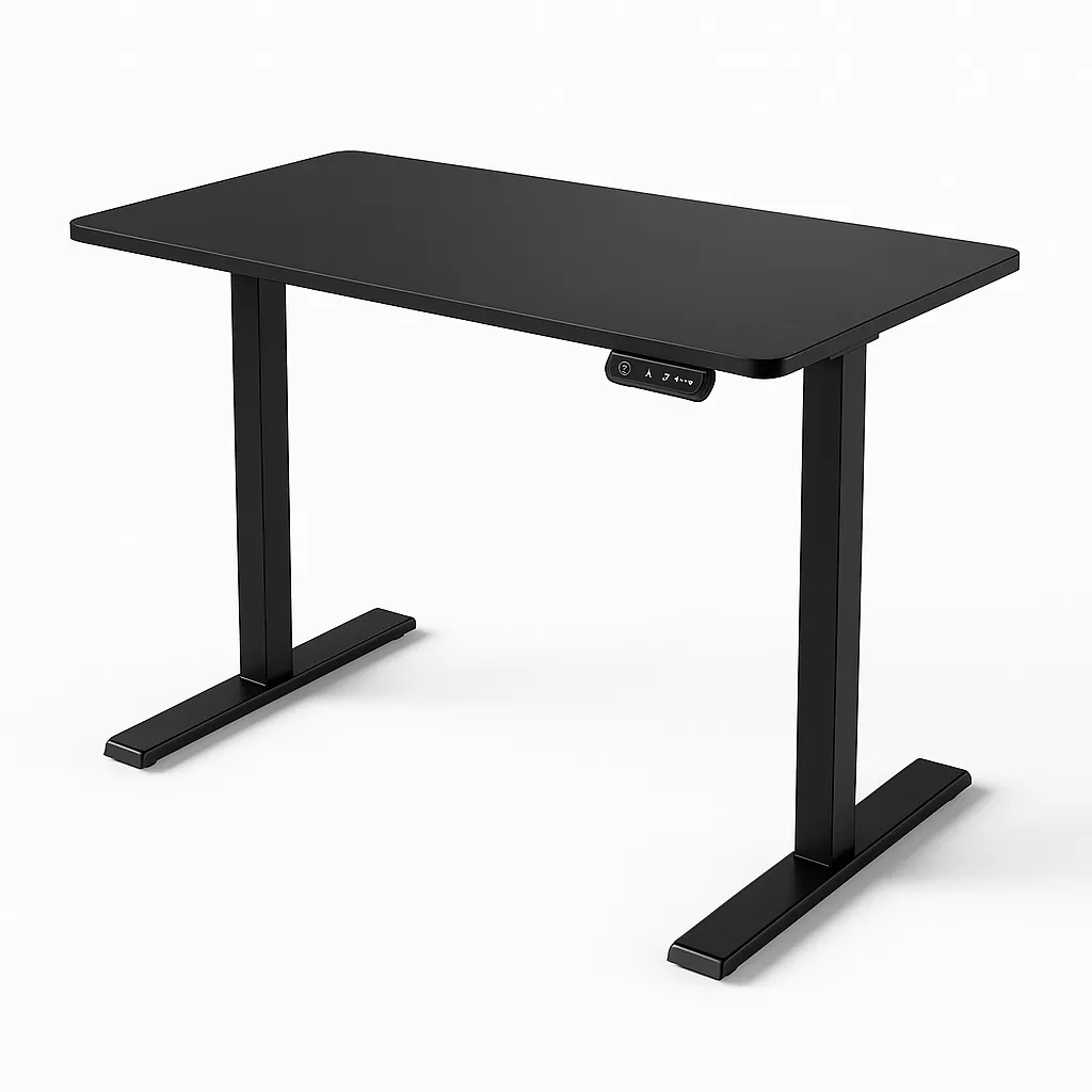 ErGear 48" × 24" Height-Adjustable Electric Standing Desk