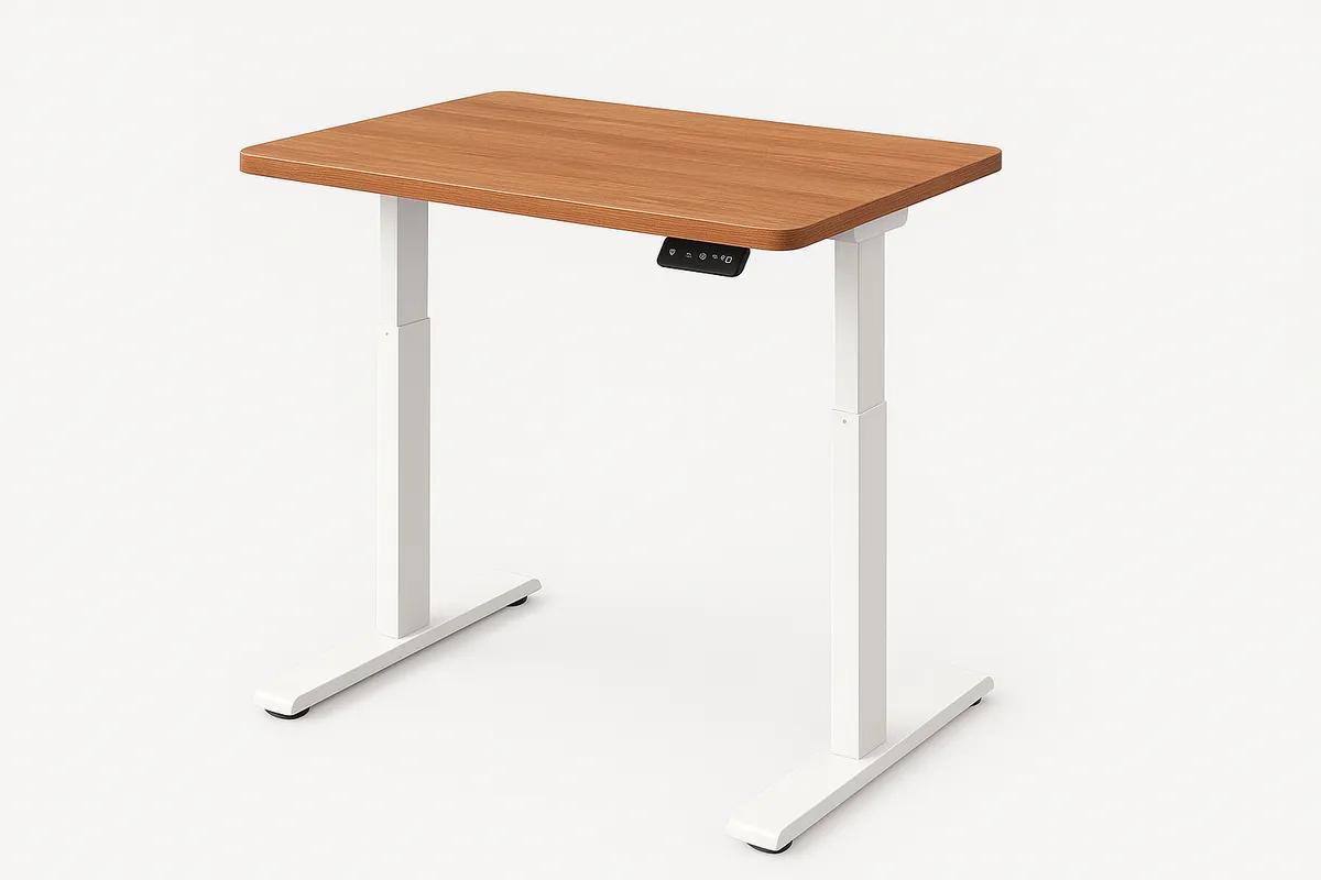 FLEXISPOT EN1 48" × 30" Electric Standing Desk